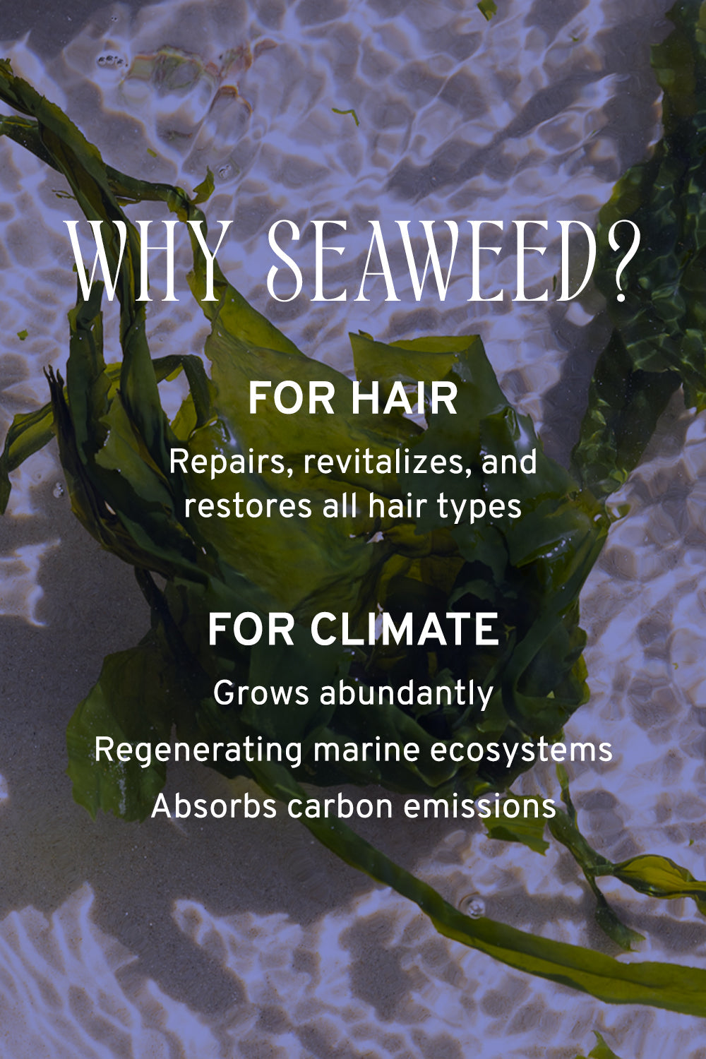 Sea Salt Spray- Aloe + Seaweed
