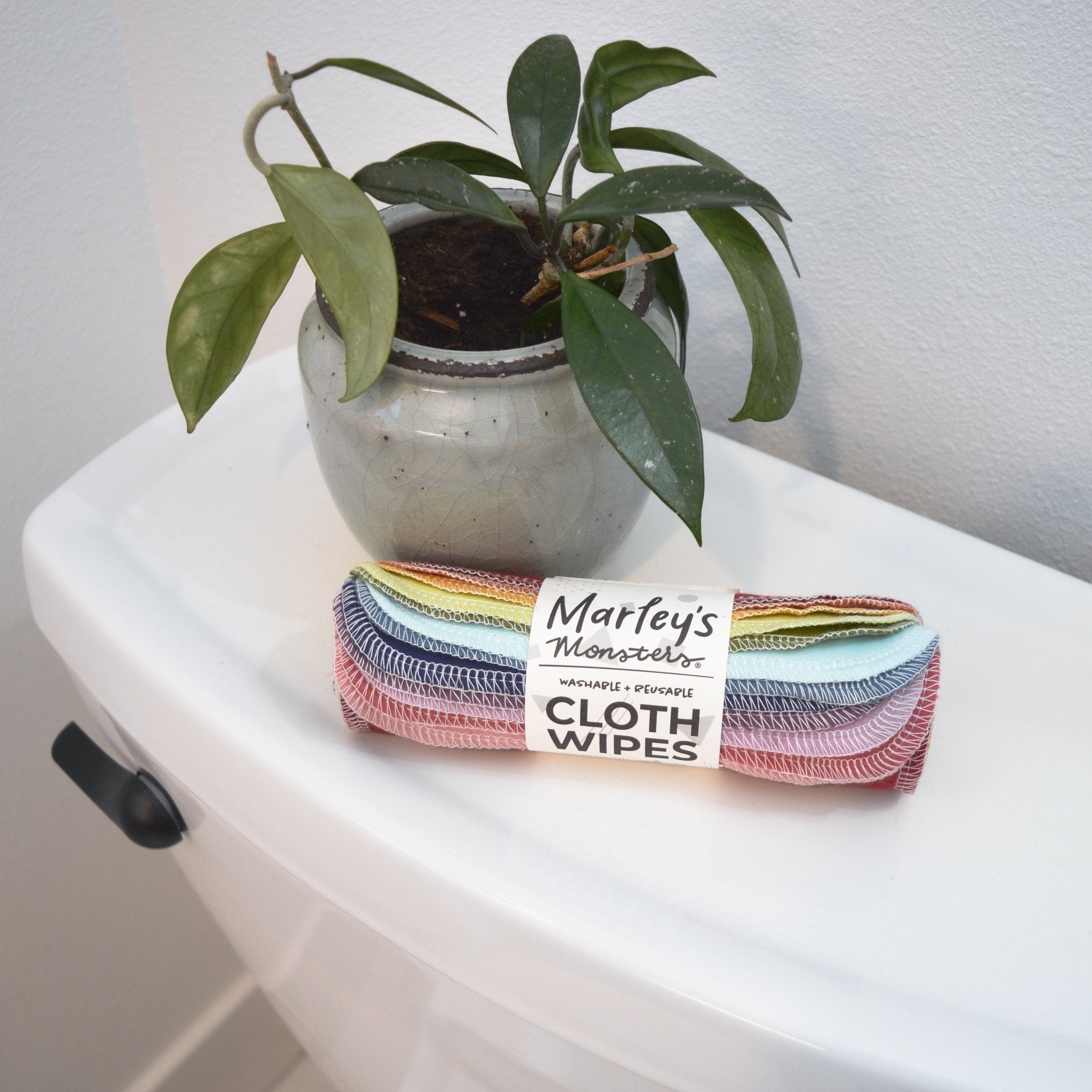 Cloth Wipes: Earthy Rainbow