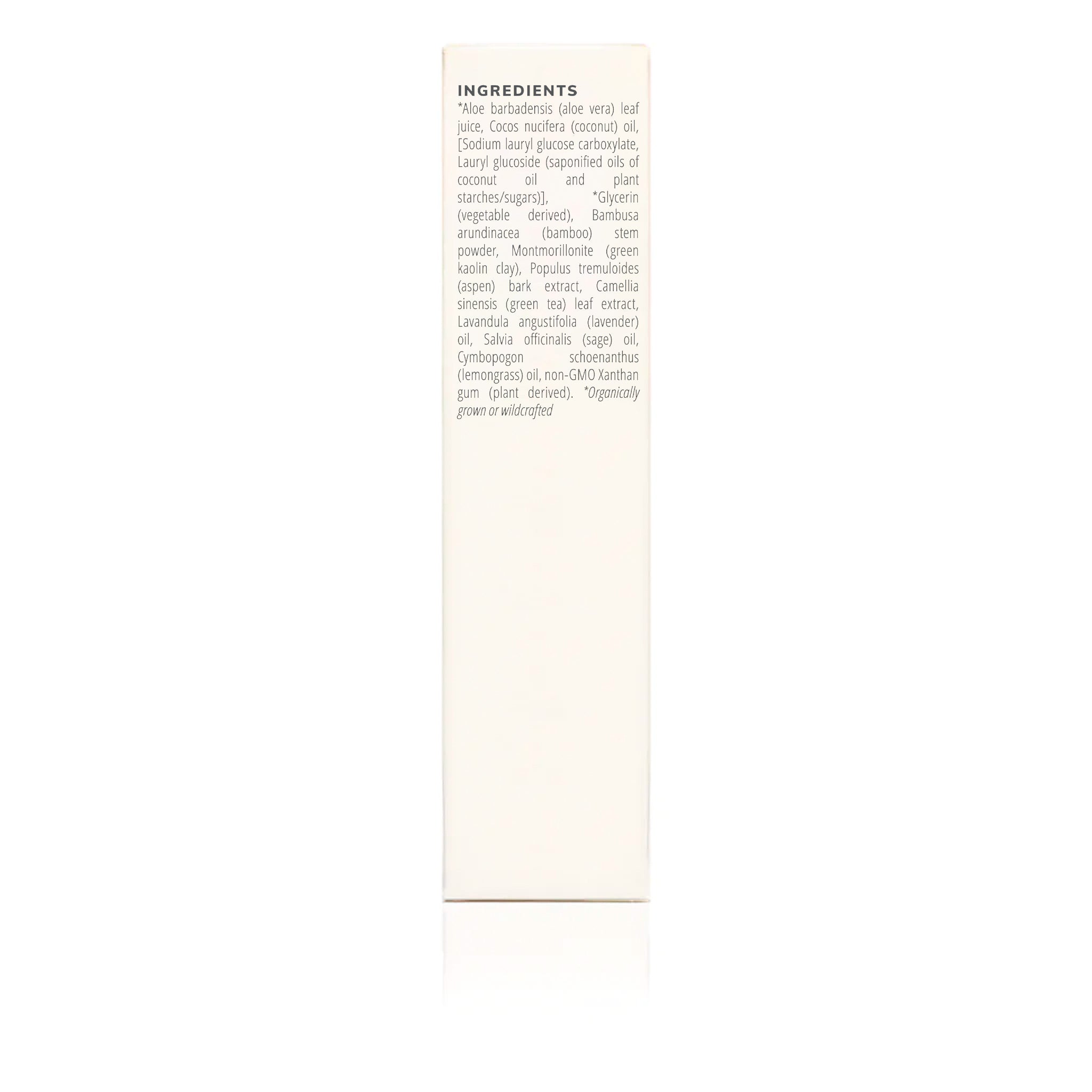 Kaolin Micro Exfoliant (120ml)